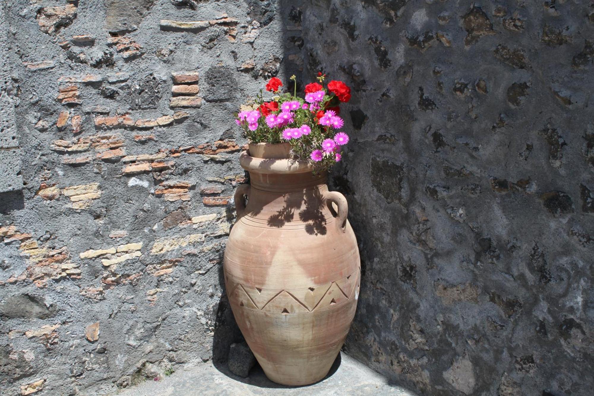Bosco Ciancio *